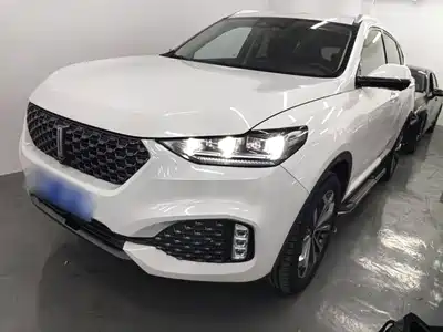 WEY VV6 2020