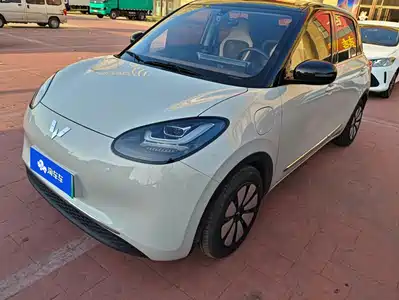 Wuling Motors Bingo 2024