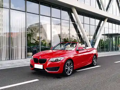 BMW 2 Series (Import) 2020
