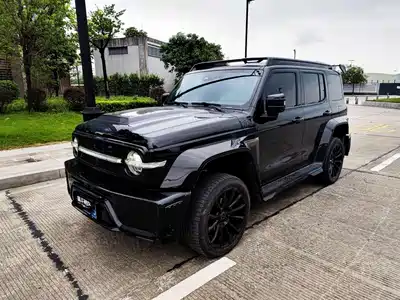 Crossboundary Auto Co-created Tank 300 2023