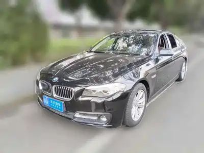 BMW 5 Series (Import) 2016