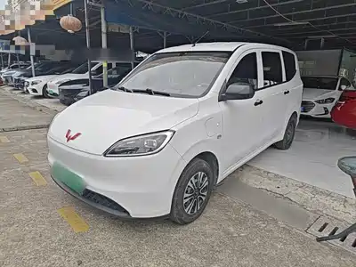 Wuling Motors Hongguang New Energy 2024