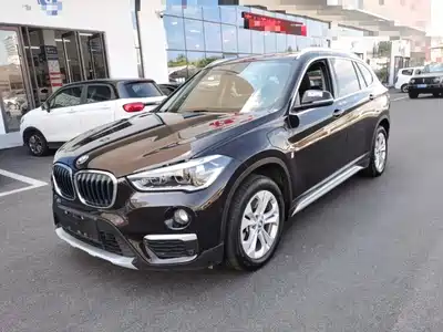BMW X1 New Energy 2019