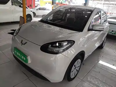 Wuling Motors Bingo 2024
