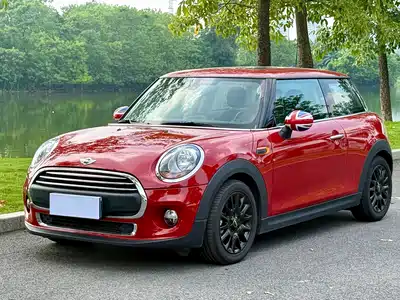 MINI MINI 2015