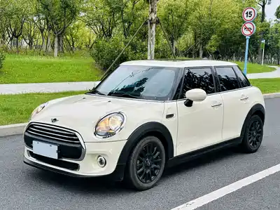 MINI MINI 2021