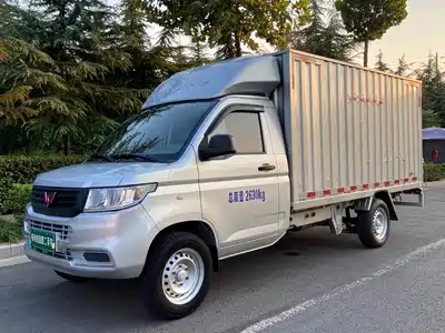 Wuling Motors Rongguang New Truck 2021