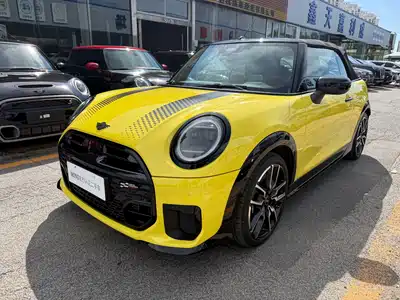 MINI MINI 2025