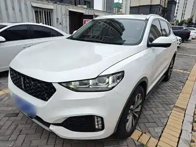 WEY VV6 2019