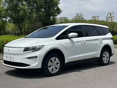 Ruilan Auto 8 2025