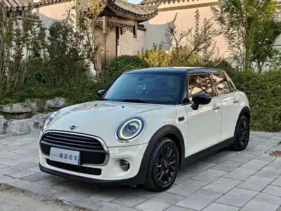 MINI MINI 2020