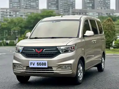 Wuling Motors Hongguang V 2020