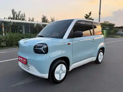 Zhido Rainbow 2025