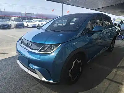 BYD Dolphin 2022