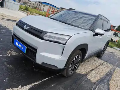 Wuling Motors Starlight 560 NEV 2025