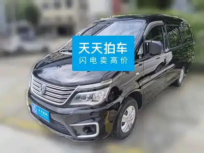 Dongfeng Fengxing Lingzhi 2021