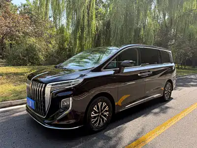 Hongqi HQ9 PHEV 2024