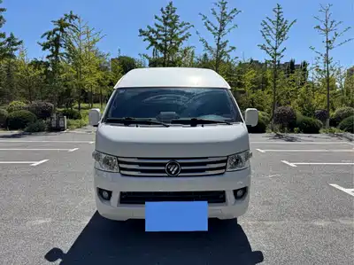 Foton Fengjing G9 2021
