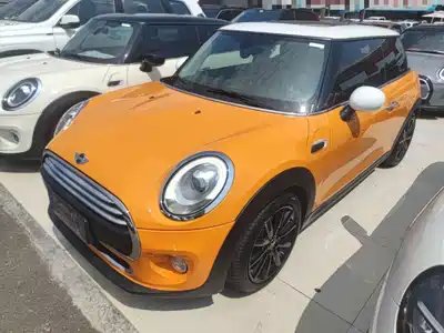 MINI MINI 2018