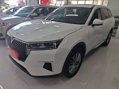 Venucia Star 2023