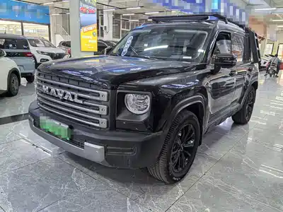 Haval Meng Long NEV 2025
