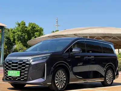 BYD Xia 2025