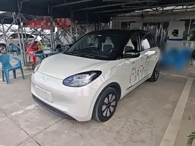 Wuling Motors Bingo 2024