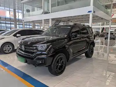 Tank 400 New Energy 2024