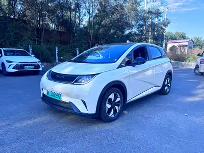 BYD Dolphin 2024