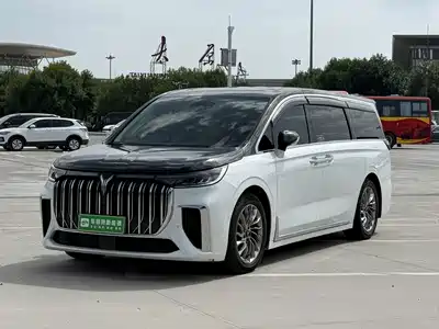 Voyah Auto Dreamer 2023