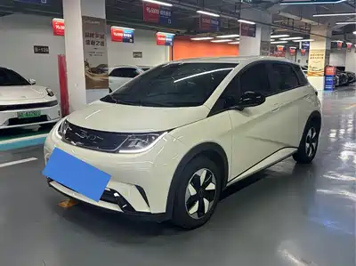 BYD Dolphin 2026