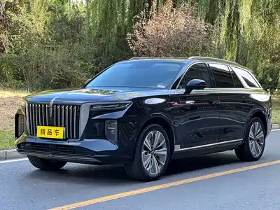 Hongqi E-HS9 2023