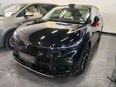 Voyah Auto Zhiyin 2025