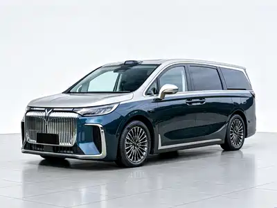 Voyah Auto Dreamer 2025