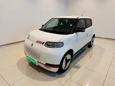 Ora White Cat 2020