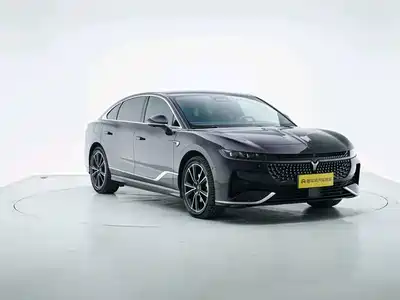 Voyah Auto Zhuiguang 2024