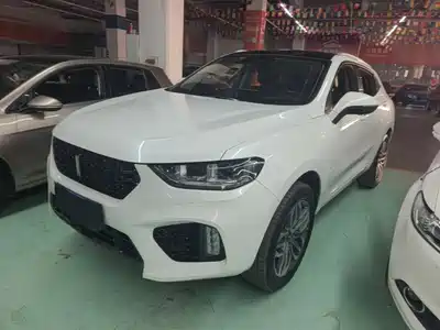 WEY VV5 2019