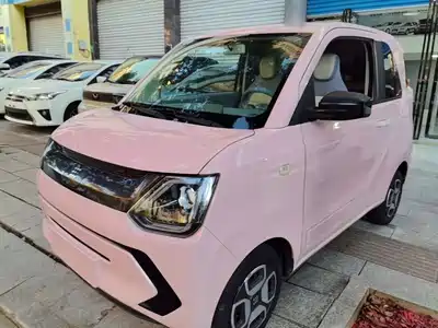 Dongfeng Fengguang MINIEV 2022