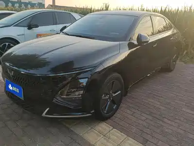 Wuling Motors Starlight 2024