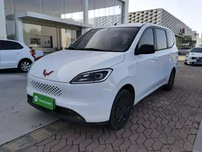 Wuling Motors Hongguang New Energy 2025