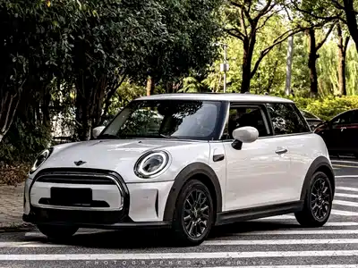 MINI MINI 2024