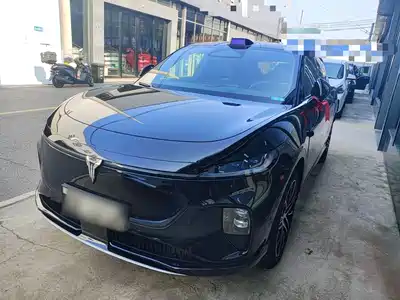 Voyah Auto Zhiyin 2025