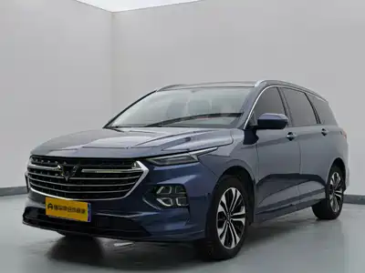 Wuling Motors Victory 2020