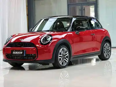 MINI MINI 2025
