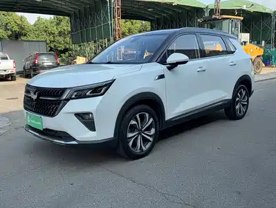 Wuling Motors Xingchen 2023