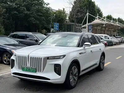 Hongqi E-HS9 2022