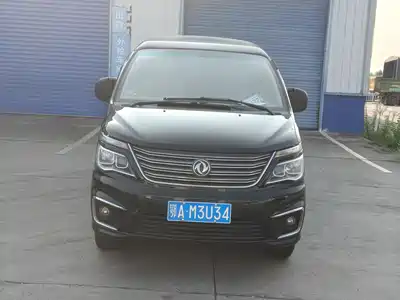 Dongfeng Fengxing Lingzhi 2019