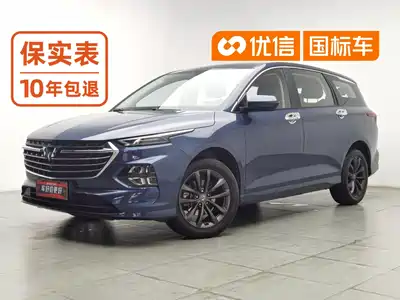 Wuling Motors Victory 2021