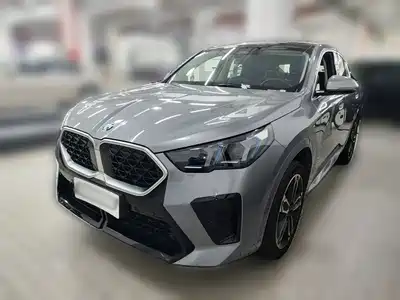 BMW X2 (Import) 2025