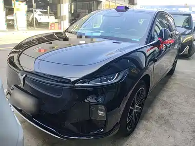 Voyah Auto Zhiyin 2025